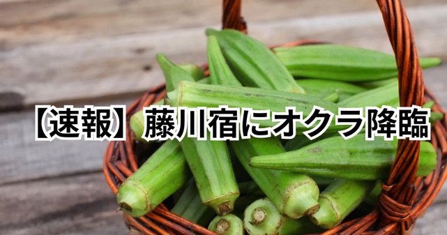 【速報】藤川宿にオクラ、降臨。